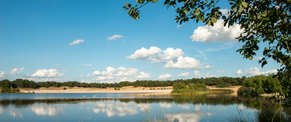 Economische pool van Noord-Limburg